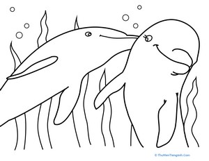 Cute Dolphin Coloring Page