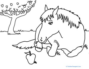 Color the Snacking Horse