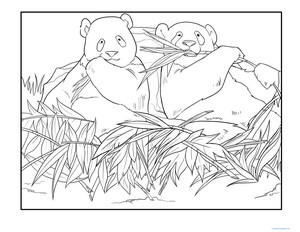 Panda Pals Coloring Page