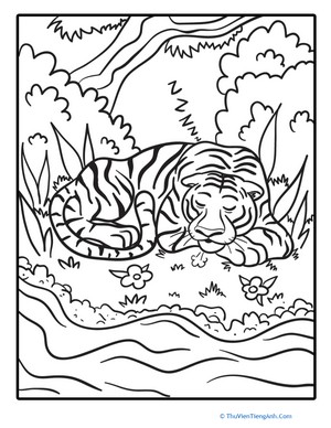 Color the Snoring Tiger
