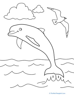 Color the Soaring Dolphin