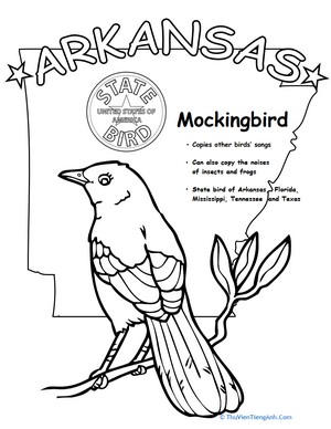 Arkansas State Bird
