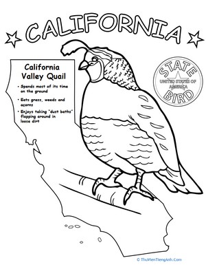 California State Bird