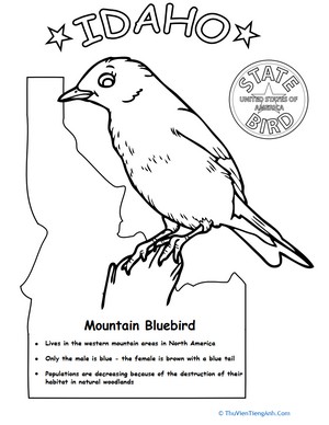 Idaho State Bird