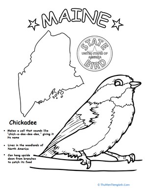 Maine State Bird