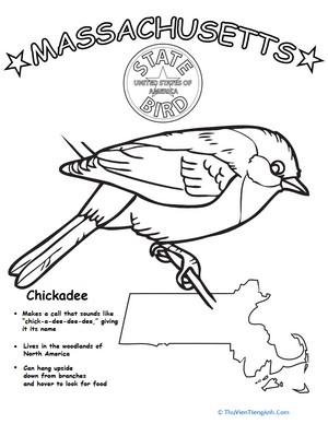 Massachusetts State Bird