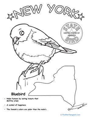 New York State Bird