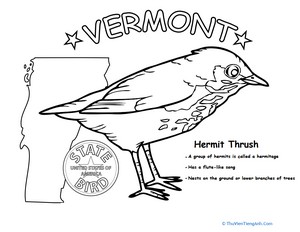 Vermont State Bird