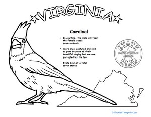 Virginia State Bird
