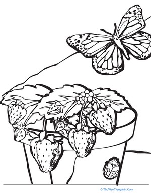 Strawberry Plant Coloring Page