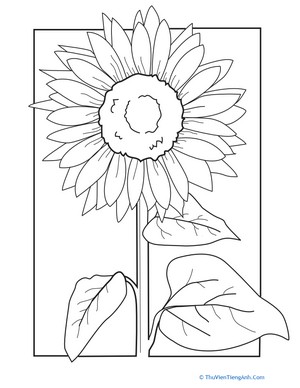 Color the Sunflower!