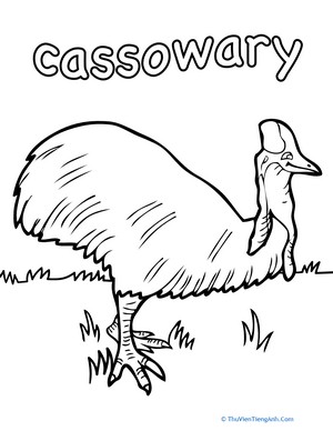 Color the Cassowary