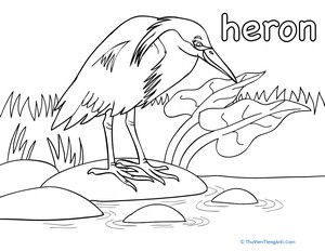 Heron Coloring Page