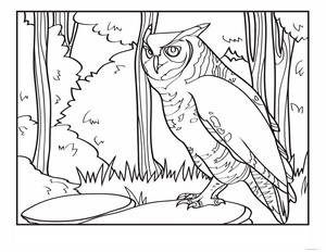 Horned Owl Coloring Page