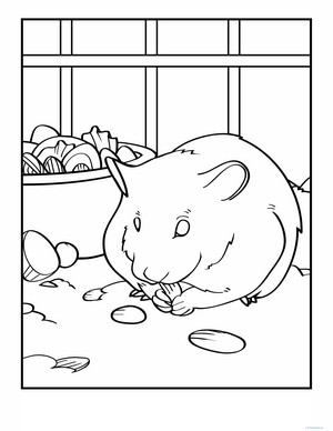 Hamster Coloring Page