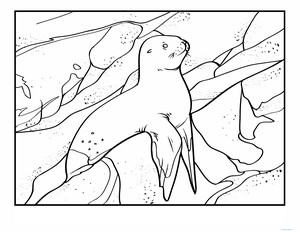 Relaxed Seal Coloring Page