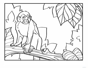 Squirrel Monkey Coloring Page