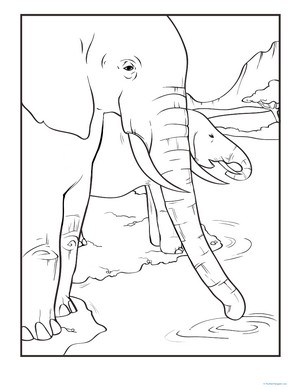 Thirsty Elephants Coloring Page