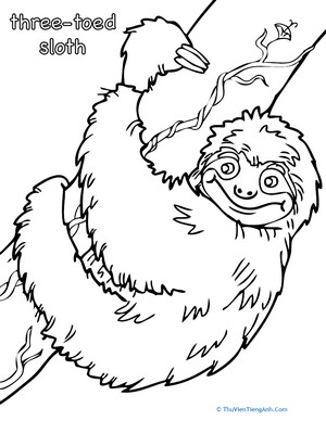Three-Toed Sloth Coloring Page