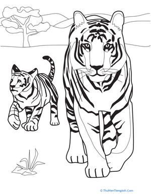 Tiger Family Coloring Page