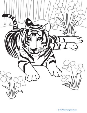 Color the Tiger at Rest