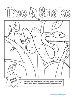 Tree Snake Coloring Page