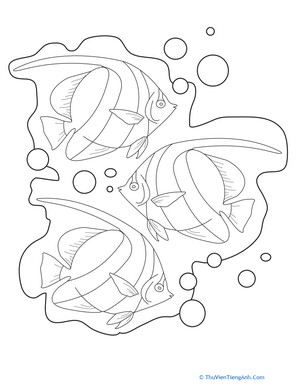 Color the Tropical Fish!