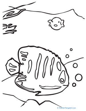 Color the Swimming Tropical Fish