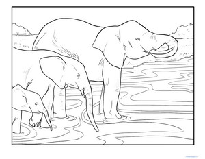 Color the Wading Elephants