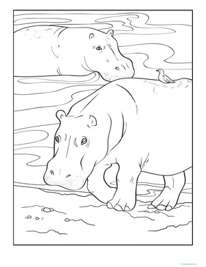 Color the Wading Hippopotamuses