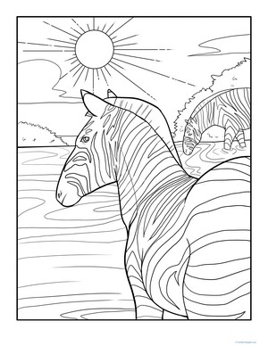 Color the Wading Zebras
