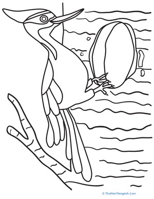 Woodpecker Coloring Page