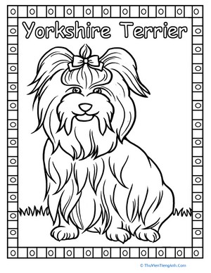 Yorkie Coloring Page