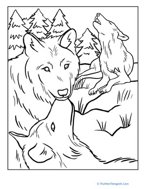 Wolf Pack Coloring Page