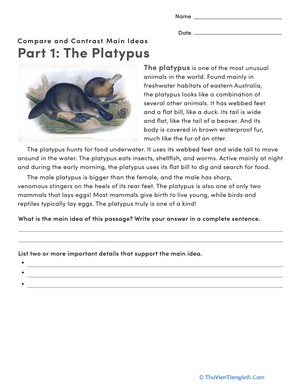 Compare and Contrast: Platypus
