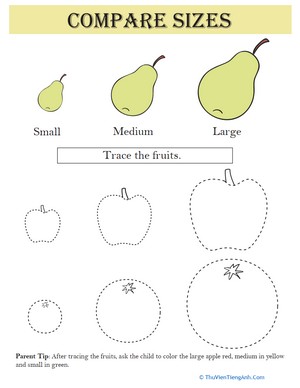 Compare Sizes: Fruit