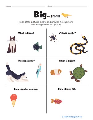Big vs. Small