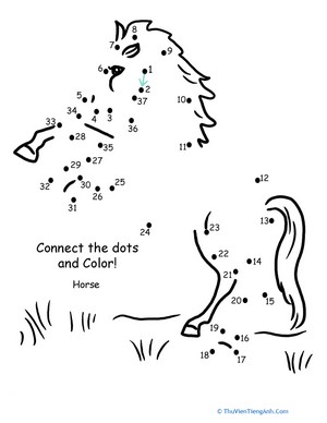 Connect the Dots: Horse
