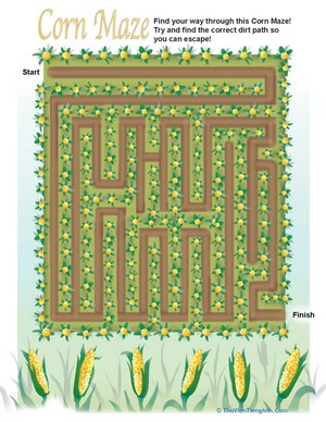 Cornfield Maze