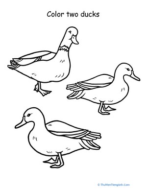 Color Two Ducks