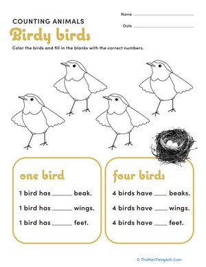 Counting Animals: Birds