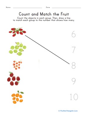 Count and Match the Fruit