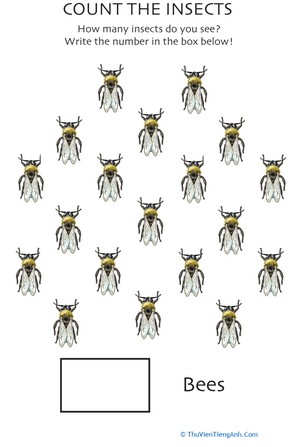 Counting Bees