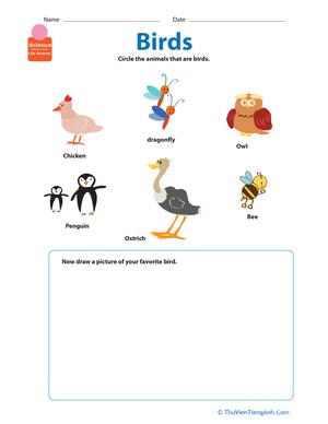 Critter Classification: Birds