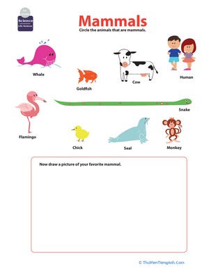 Mammals for Kids