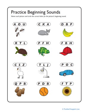C is for Cup: Review Beginning Sounds