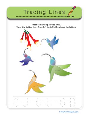 Curved Lines Hummingbirds