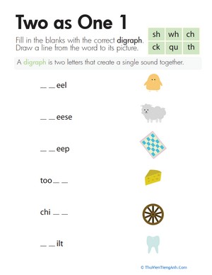 Digraphs: Two as One 1