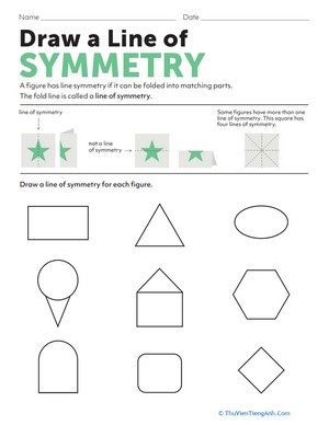 Draw a Line of Symmetry