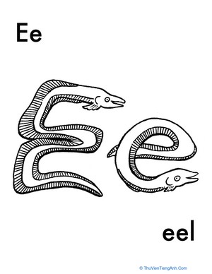 E for Eel